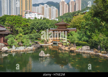 Nan Lian Garden Public, Chi Lin Nunnery, Hong Kong, Chine Banque D'Images