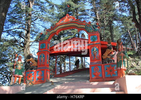 Le macaque Rhésus (Macaca mulatta), Jakhoo entrée Temple, Shimla, Himachal Pradesh, Inde, sous-continent indien, en Asie du Sud Banque D'Images