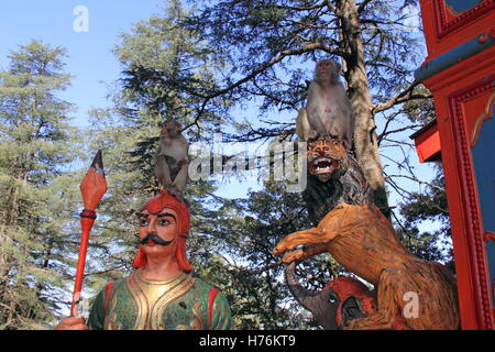 Le macaque Rhésus (Macaca mulatta), Jakhoo entrée Temple, Shimla, Himachal Pradesh, Inde, sous-continent indien, en Asie du Sud Banque D'Images