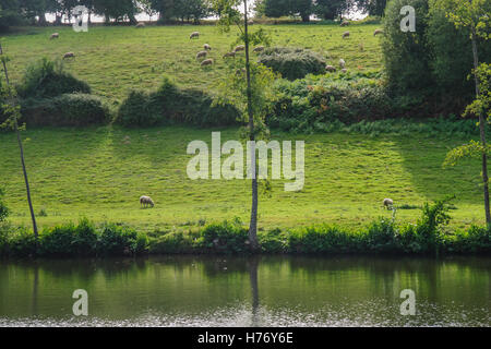 L'Orne et les champs voisins, près des villages de Clecy et Vey, en Normandie, France. Cette région est connue comme norme Suisse Banque D'Images