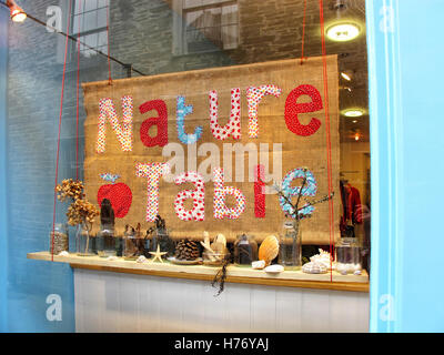 Fenêtre table nature affichage à seasalt, high street fowey cornwall en uk Banque D'Images