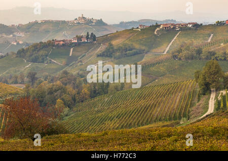 Castiglione Falletto vignobles, Langhe, Cuneo, Piémont, Italie. Banque D'Images