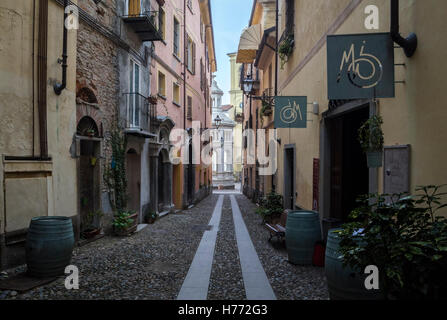 Vue sur le ressort de la Bollente un près de l'allée, Alessandria, Piémont, Italie. Banque D'Images