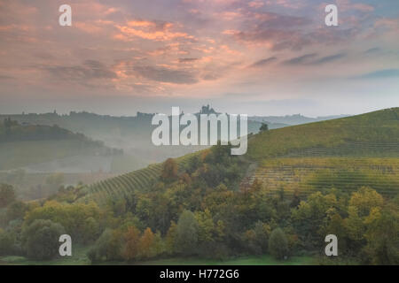 Foggy Dawn près de Serralunga d'Alba, Langhe, Cuneo, Piémont, Italie. Banque D'Images