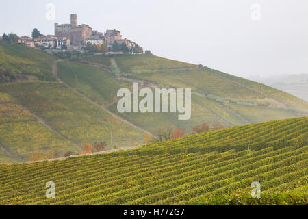 Avis de Castiglione Falletto de les vignobles environnants, Langhe, district de Cuneo, Piémont, Italie. Banque D'Images