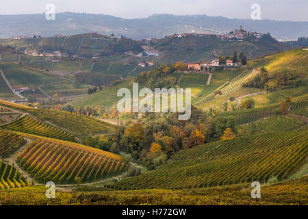 Les collines autour de Castiglione Falletto, Langhe, Cuneo, Piémont, Italie. Banque D'Images