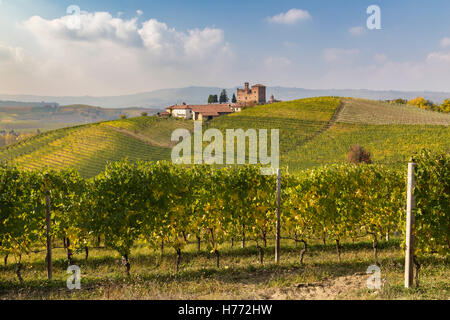 Collines près du château de Grinzane Cavour, Langhe, Cuneo, Piémont, Italie. Banque D'Images