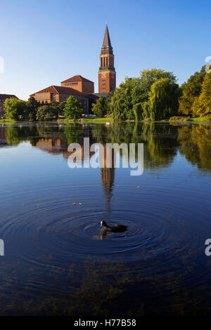 Duck nager dans le lac en face de l'Opéra et de la Mairie à Klein Kiel, Schleswig-Holstein, Allemagne Banque D'Images