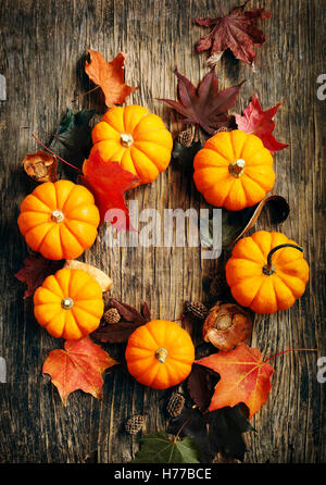 Les citrouilles et les feuilles d'automne sur table en bois Banque D'Images