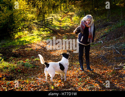 Femme jouant avec un chien et le bâton sur un chemin à l'automne Banque D'Images