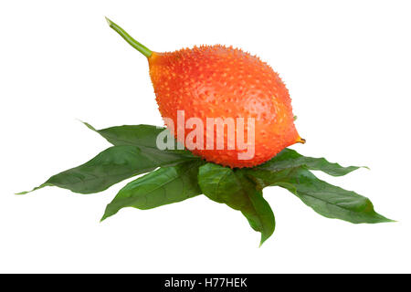 Jaque bébé (isolés ou Cochinchin Gourd, l'Amer, Doux Gourd, Momordica cochinchinensis) sur les objets blancs avec Banque D'Images