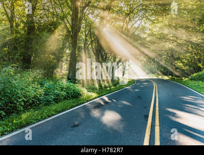 Le soleil brille à travers le brouillard on Country Road Banque D'Images