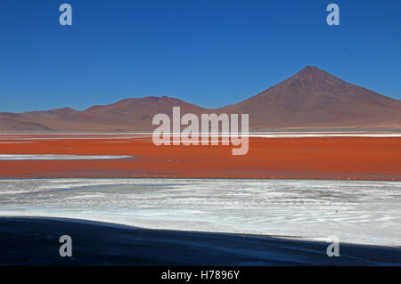La belle couleur rouge de la Laguna Colorada dans le sud de la Bolivie, de l'Amérique du Sud Banque D'Images
