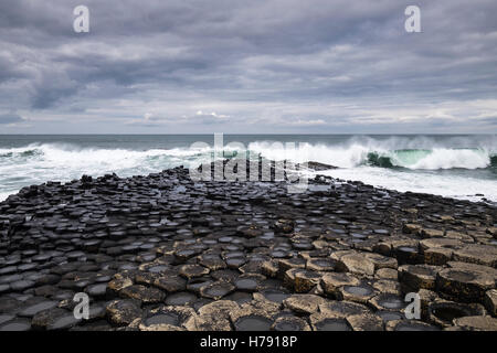 Chaussée des géants du nord de la côte d'Antrim en Ulster, en Irlande. Banque D'Images