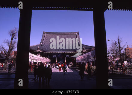 Vue sur le Temple d'Asakusa Kannon dans la section d'Asakusa de Tokyo, Japon. C'est le plus ancien temple de Tokyo. Banque D'Images