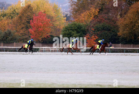 Les chevaux ont travaillé à travers le frosty galops de Warren Hill à Newmarket, Suffolk. La reine Elizabeth II est prévu de visiter la ville, souvent désigné comme le quartier général de la course, plus tard aujourd'hui pour dévoiler la statue d'un poulain et d'une mare, à l'hippodrome. Banque D'Images