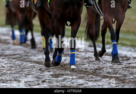 Les chevaux ont travaillé à travers le frosty galops de Warren Hill à Newmarket, Suffolk. La reine Elizabeth II est prévu de visiter la ville, souvent désigné comme le quartier général de la course, plus tard aujourd'hui pour dévoiler la statue d'un poulain et d'une mare, à l'hippodrome. Banque D'Images