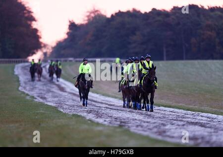 Les chevaux ont travaillé à travers le frosty galops de Warren Hill à Newmarket, Suffolk. La reine Elizabeth II est prévu de visiter la ville, souvent désigné comme le quartier général de la course, plus tard aujourd'hui pour dévoiler la statue d'un poulain et d'une mare, à l'hippodrome. Banque D'Images