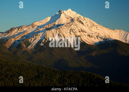 Mt Jefferson de pic de triangulation, Mt Jefferson Wilderness, forêt nationale de Willamette, Oregon Banque D'Images