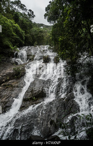 Libre de belle cascade dans nature vert tropical forest Banque D'Images