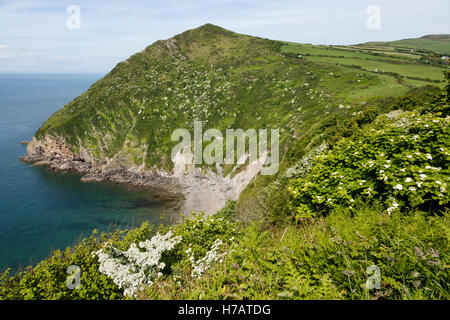 Grande plage du pendu et Poirier, Combe Martin, Devon Banque D'Images