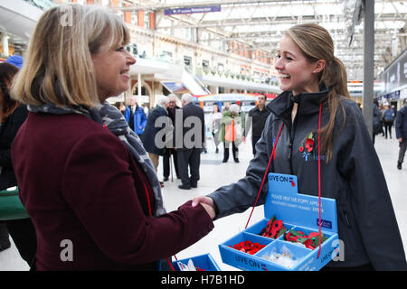 La gare de Waterloo, Londres, Royaume-Uni 3 Nov 2016 - Harriett Baldwin MP Sous-secrétaire d'État parlementaire et ministre de l'approvisionnement de la Défense. Rencontre des ministres de la défense des membres des Forces armées à la gare de Waterloo, la collecte de l'appel de pavot au profit de la Royal British Legion. Credit : Dinendra Haria/Alamy Live News Banque D'Images