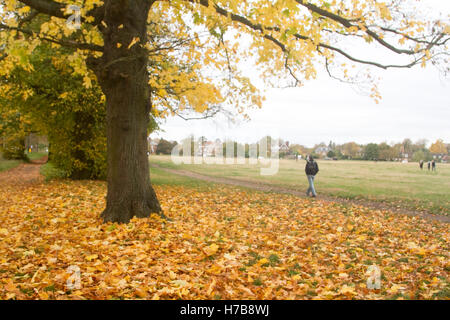 Wimbledon Londres, Royaume-Uni. 4e novembre 2016. Les gens marchent sur Wimbledon Common sur un jour d'automne gris Crédit : amer ghazzal/Alamy Live News Banque D'Images