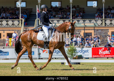 Hazel Shannon (AUS) équitation Clifford dans la section de dressage de l'Australian International événement de trois jours. Ils ont terminé deuxième dans la catégorie 4 étoiles. Banque D'Images