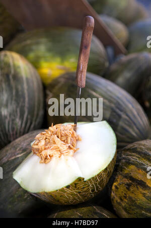 Ouvrir le Père Noël melon avec couteau sur elle. Cette variété est aussi connu comme le melon de Noël ou Piel de sapo. Banque D'Images
