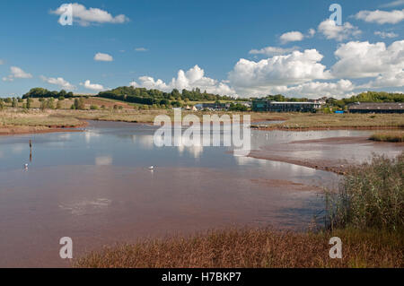 Zone marécageuse près de Topsham, Devon, adjacent au pont Clyst et fléchettes ferme, connu comme Goosemoor Banque D'Images