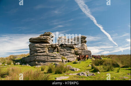 Les affleurements de granite à peu mis à Dartmoor Tor Banque D'Images