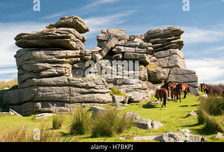 Les affleurements de granite à peu mis à Dartmoor Tor Banque D'Images