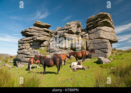 Les affleurements de granite à peu mis à Dartmoor Tor Banque D'Images