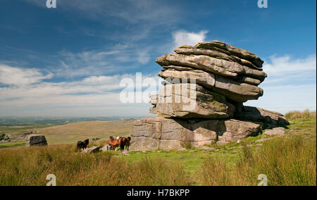 Les affleurements de granite à peu mis à Dartmoor Tor Banque D'Images