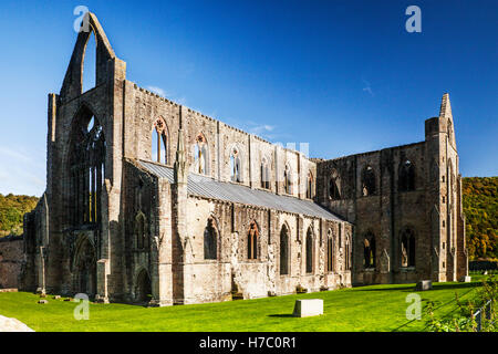 Abbaye de Tintern dans Monmouthshire, Wales. Banque D'Images