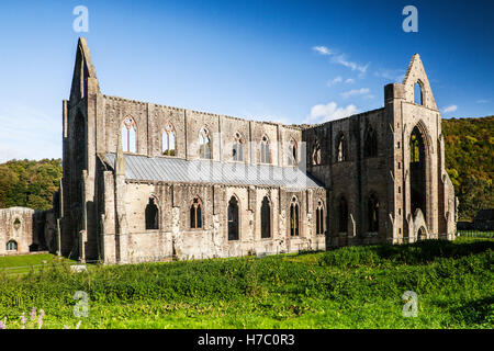 Abbaye de Tintern dans Monmouthshire, Wales. Banque D'Images