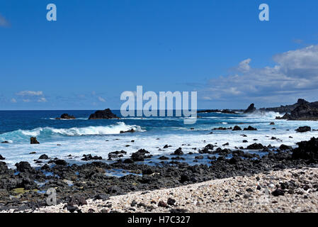 Shelley Beach sur les foires de Wideawake à vers Mars Bay sur l'île de l'Ascension Banque D'Images