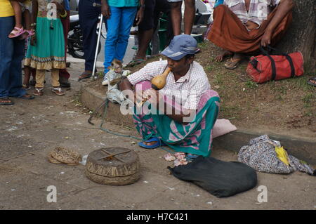 Voir d'un charmeur de serpent sur le trottoir avec son singe en charge de la collecte de l'argent à partir de la foule à Kandy, Sri Lanka. Banque D'Images