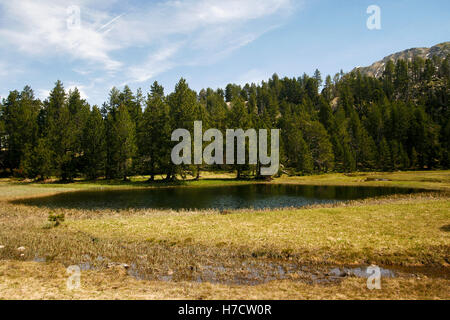 Stock Photo - Banhs de Tredos. Pyrénées. Lleida, Catalogne. Espagne Banque D'Images