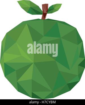 Résumé de fruits pomme verte icône sur fond blanc. vector illustration Illustration de Vecteur