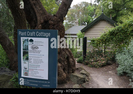 Artisanat usine chalet au Jardin botanique royal de Victoria à Melbourne. Banque D'Images