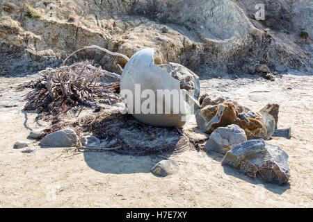 Moeraki Boulders, Moeraki, Nouvelle-Zélande Banque D'Images