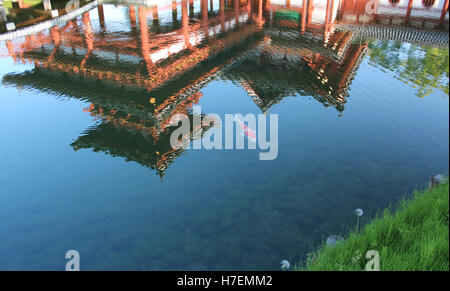 En clair Big Koi étang avec la réflexion de Phoenix Hall au Temple Byodo-in pendant le coucher du soleil Banque D'Images