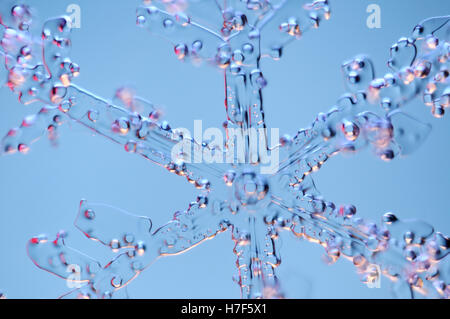 Snowflake amplifiés sous microscope Banque D'Images