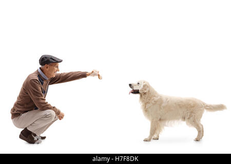 Homme mûr s'agenouiller et donnant un biscuit à un chien isolé sur fond blanc Banque D'Images