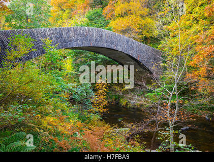 Un pont en pierre traversant dans une forêt d'automne