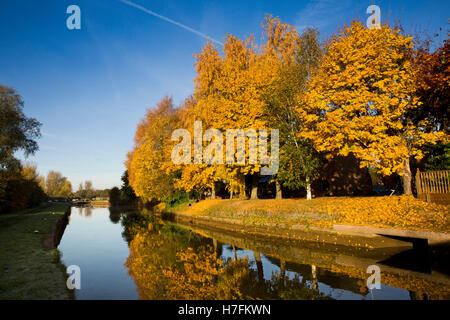 Royaume-uni, Angleterre, Cheshire, Sandbach, Malkin's Bank, arbres d'automne reflètent dans Trent et Mersey Canal à l'automne Banque D'Images