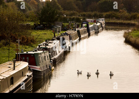 Royaume-uni, Angleterre, Cheshire, Sandbach, Trent et Mersey, de Moston est fréquemment desservie par canal, automne, narrowboats amarrés sur chemin de halage Banque D'Images