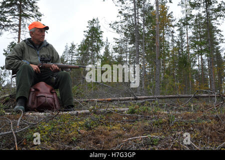 Chasseur d'orignal à capuchon orange assis sur une souche en tenant son fusil, photo du nord de la Suède. Banque D'Images