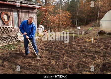 Le travail agricole. Portrait d'un homme à creuser le sol avec une pelle. Les travaux d'automne. Un agriculteur de préparer le terrain pour l'hiver. Banque D'Images